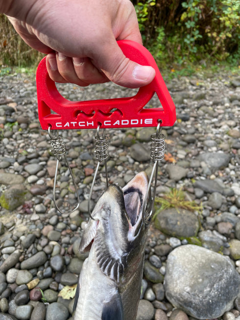 Catch Caddie, Fish Carrier (New Release)